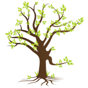 Deneen Natural Health - Dr. Shana Deneen - Logo