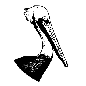 Birdneck Village Apartments - Logo