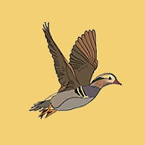 Rare Treasures Hatchery - Logo