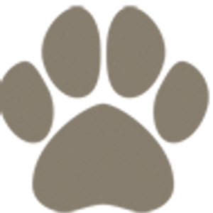 SIMPAWTICO - DENVER - Logo