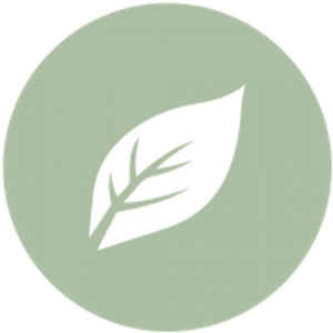 White Light Skin Care - Logo