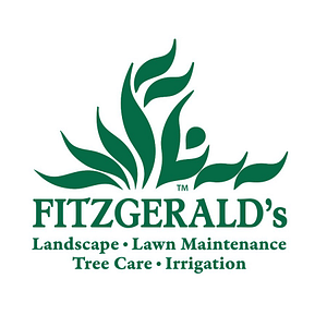 Fitzgeralds Landscape
