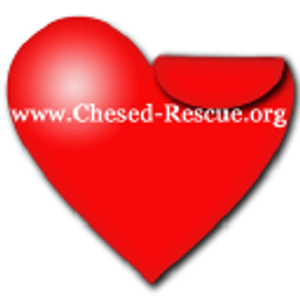 Chesed Foundation Inc - Logo