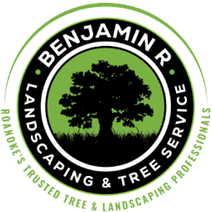 Benjamin R LLC. Landscape and Tree Service - Logo