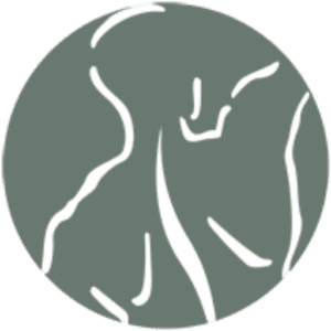 Accident Care Chiropractic
