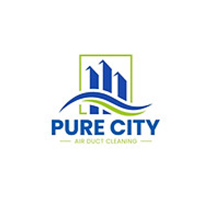 PURE CITY Chimney Sweeping Service
