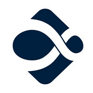 The Limitless Group - Logo