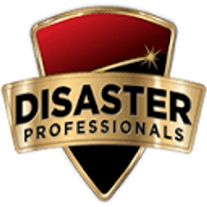 Disaster Professionals - Logo