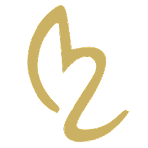 Body Lounge Park Cities - Whole Body Wellness & Medical Aesthetics, Dallas, TX - Logo