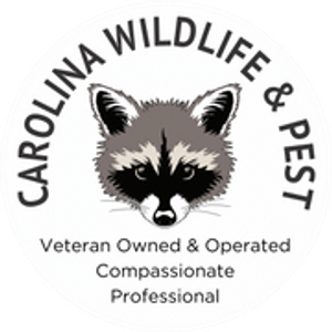 Carolina Wildlife & Pest - Pest control service in High Point