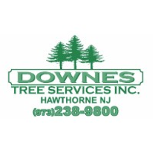 Downes Tree Service, Inc. - Logo