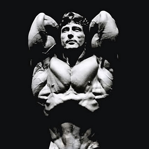Frank Zane Experience