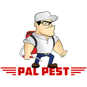 Pal Pest Bat Control - Pest control service in Lincoln