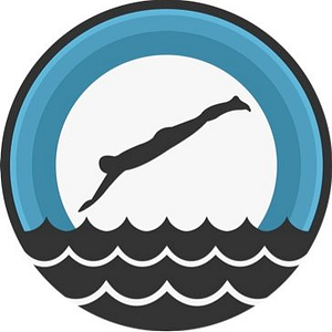 Litchfield County Pools - Logo