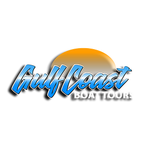 Gulf Coast Boat Tours Tarpon Springs & Clearwater Beach