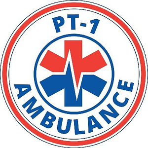 ProTransport-1 Modesto - Logo