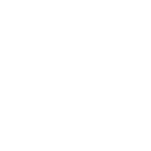 The Black Dog Jiu-Jitsu Company - Logo