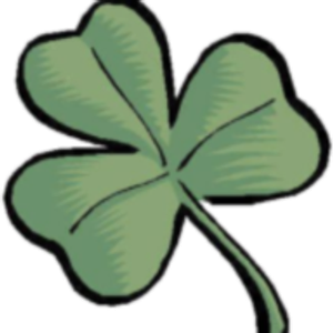 Shane P Donlon Ranch Broker