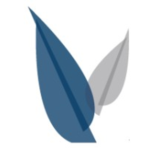 Elise Everest, Business & Estate Planning Lawyer