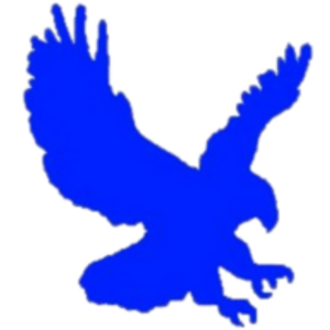 Blue Eagle Painting Inc