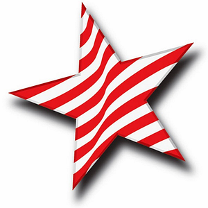 Texas Orthopedics - Logo