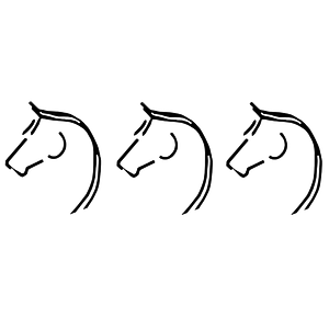 Las Vegas Riding Instruction - Logo