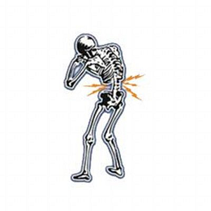 Chiropractic First