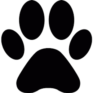 Dazzle Dog Grooming Spa Inc