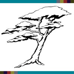 Wild Rivers Community Foundation - Logo