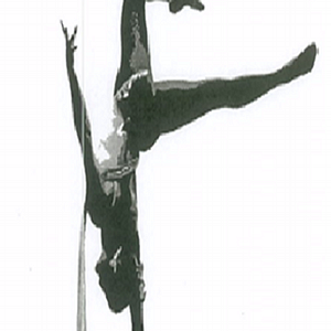 Aerial Revolution - Logo