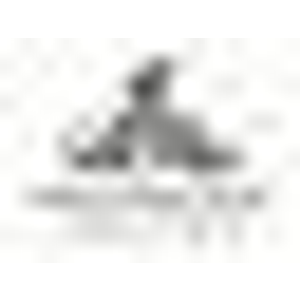 Mountain View Animal Clinic - Logo