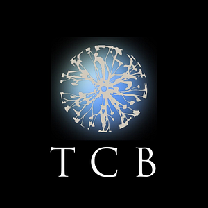 Terry Chiropractic Boulder - Logo