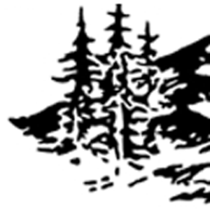 Alpine Fencing & Supplies, Inc. - Logo