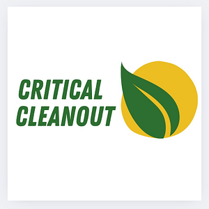 Critical Cleanout - Logo