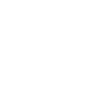 Eichelmann Insurance Agency in Wichita Falls - Logo