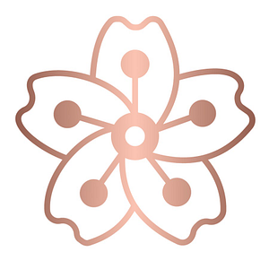 Blossom Pilates & Physical Therapy