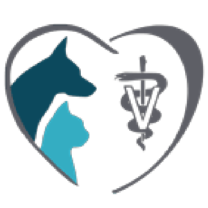 St. Pete Veterinary Hospital