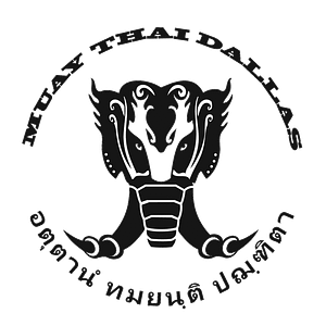 Muay Thai Dallas