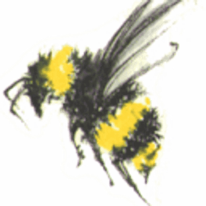 DClutterBug - House Cleaning & Organizing by Susan Van Dyke