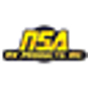NSA RV Products Inc - Logo