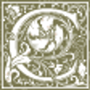 Camelot Real Estate - Logo