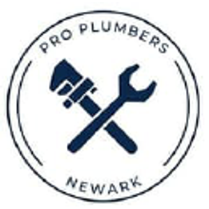 Pro Plumbers Grapevine - Logo