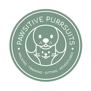 Pawsitive Purrsuits