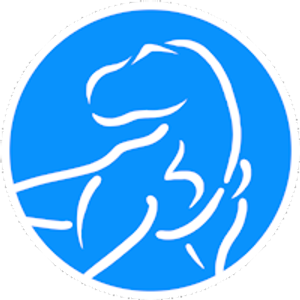 Reel Rex Media - Logo