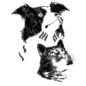 Blackstone Animal Hospital - Logo