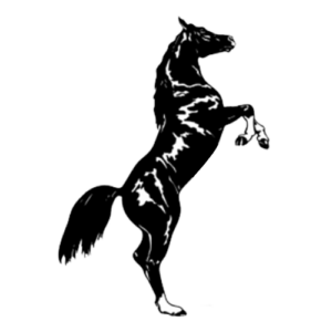 Stallion Metal Steel Buildings - Logo