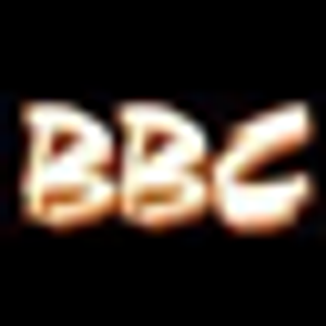 Buena Builders Construction Inc - Logo