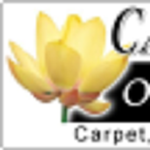 Carpet Clinic of Orlando Inc