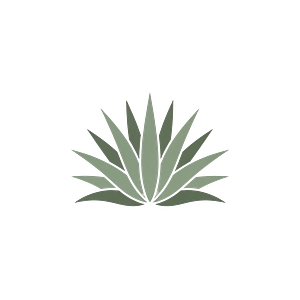 Agave Adult Medical Care