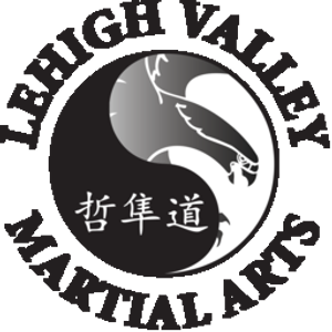 Lehigh Valley Martial Arts: Bethlehem Township - Logo